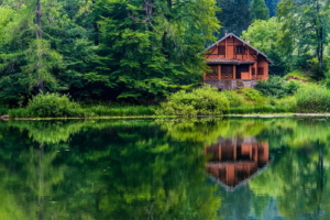 Virginia tree law concept - Red house in the middle of nature with lots of trees surrounding it.