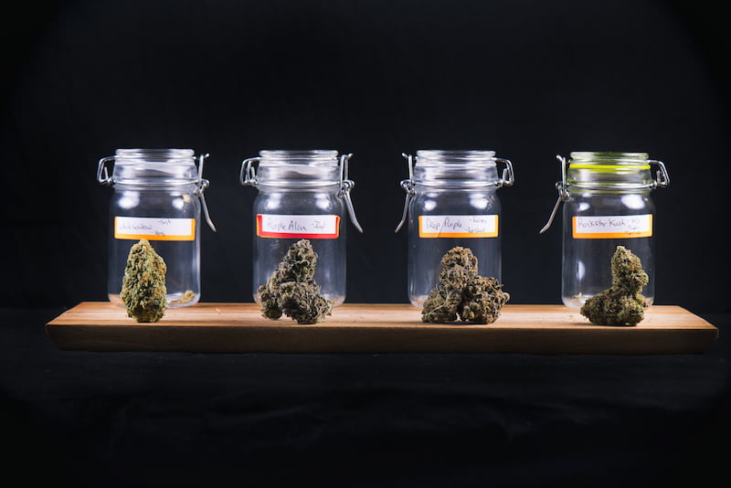 assorted cannabis bud strains and glass jars isolated on black background.