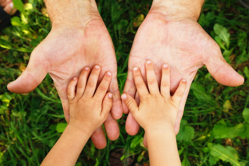 adult hands holding child's hands with plants in background.
