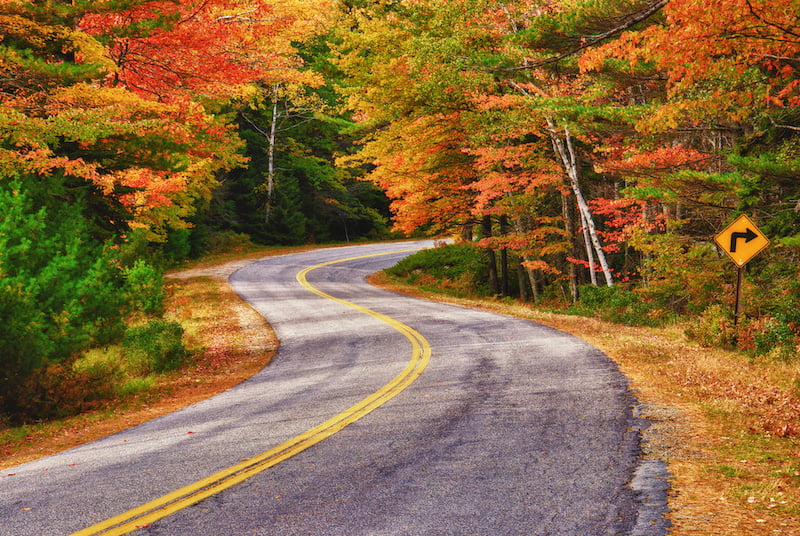 a winding road curves through autumn trees in new england