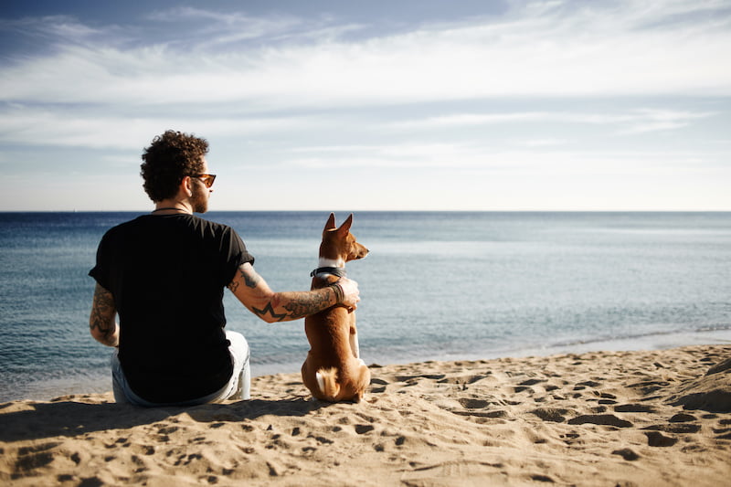 caucasian man in sunglasses sitting in beach with friend’s dog breed basenji put hand on his back and looking into the distance enjoying deep blue sea. boy with tattoos in black t-shirt and jeans relaxing under blue sky. mixed race asian caucasian man in his 20s.