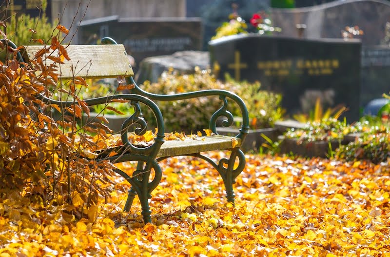 bench in a cemetery during autumn.